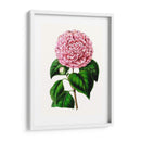 Grand Blooms Ii | Cuadro decorativo de Canvas Lab