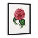 Grand Blooms Iii | Cuadro decorativo de Canvas Lab