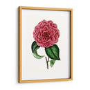 Grand Blooms Iii | Cuadro decorativo de Canvas Lab