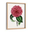 Grand Blooms Iii | Cuadro decorativo de Canvas Lab