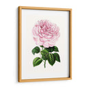 Grand Blooms Iv | Cuadro decorativo de Canvas Lab