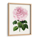 Grand Blooms Iv | Cuadro decorativo de Canvas Lab