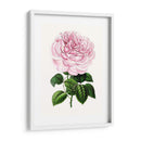 Grand Blooms Iv | Cuadro decorativo de Canvas Lab