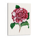 Grand Blooms V | Cuadro decorativo de Canvas Lab