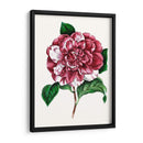 Grand Blooms V | Cuadro decorativo de Canvas Lab