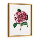 Grand Blooms V | Cuadro decorativo de Canvas Lab