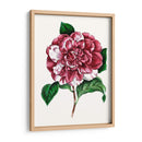 Grand Blooms V | Cuadro decorativo de Canvas Lab