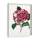 Grand Blooms V | Cuadro decorativo de Canvas Lab