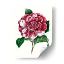 Grand Blooms V | Cuadro decorativo de Canvas Lab