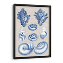Cáscaras De La Marina Y La Ropa Iv - Vision Studio | Cuadro decorativo de Canvas Lab