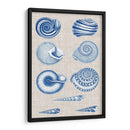 Conchas De La Marina Y La Ropa De Lino V - Vision Studio | Cuadro decorativo de Canvas Lab