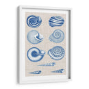 Conchas De La Marina Y La Ropa De Lino V - Vision Studio | Cuadro decorativo de Canvas Lab