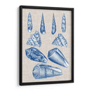 Cáscaras De La Marina Y Lino Vi - Vision Studio | Cuadro decorativo de Canvas Lab