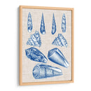 Cáscaras De La Marina Y Lino Vi - Vision Studio | Cuadro decorativo de Canvas Lab