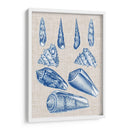 Cáscaras De La Marina Y Lino Vi - Vision Studio | Cuadro decorativo de Canvas Lab