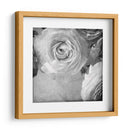 Ranunculus Oscuro Iv - Judy Stalus | Cuadro decorativo de Canvas Lab