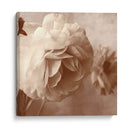 Sepia Rapture I - Judy Stalus | Cuadro decorativo de Canvas Lab