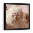 Sepia Rapture I - Judy Stalus | Cuadro decorativo de Canvas Lab