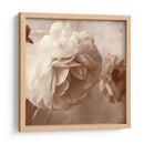 Sepia Rapture I - Judy Stalus | Cuadro decorativo de Canvas Lab