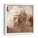 Sepia Rapture I - Judy Stalus | Cuadro decorativo de Canvas Lab