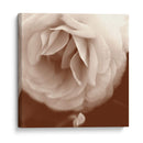 Sepia Rapture Ii - Judy Stalus | Cuadro decorativo de Canvas Lab