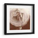 Sepia Rapture Ii - Judy Stalus | Cuadro decorativo de Canvas Lab