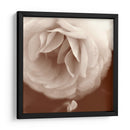 Sepia Rapture Ii - Judy Stalus | Cuadro decorativo de Canvas Lab