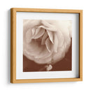 Sepia Rapture Ii - Judy Stalus | Cuadro decorativo de Canvas Lab