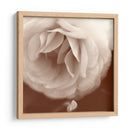 Sepia Rapture Ii - Judy Stalus | Cuadro decorativo de Canvas Lab