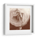 Sepia Rapture Ii - Judy Stalus | Cuadro decorativo de Canvas Lab