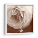 Sepia Rapture Ii - Judy Stalus | Cuadro decorativo de Canvas Lab