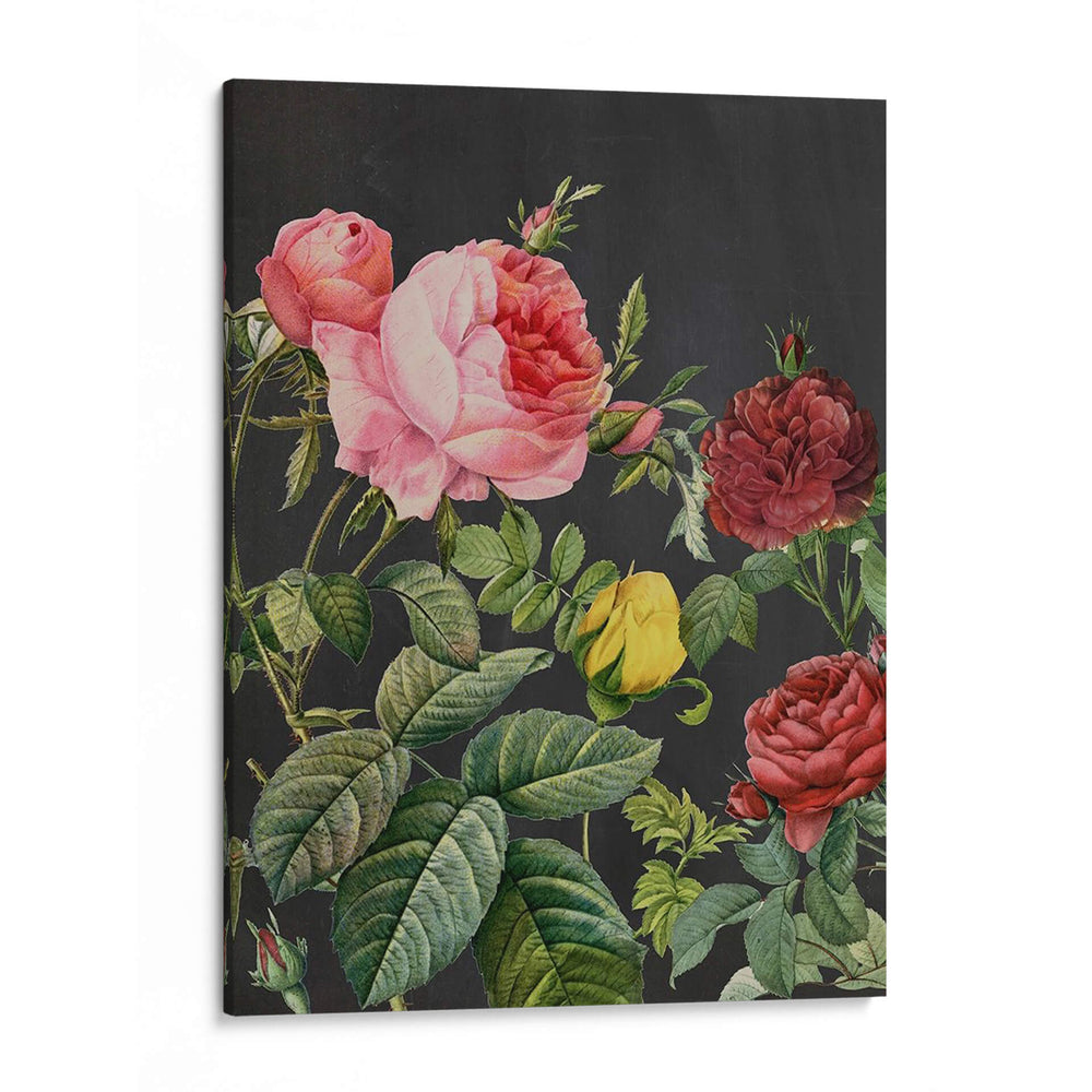Redoutes Bouquet I - Pierre Redoute | Cuadro decorativo de Canvas Lab