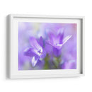 Anular Las Campanas De Cambio I - Gillian Hunt | Cuadro decorativo de Canvas Lab