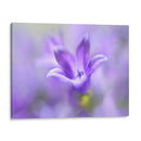 Anillo Las Campanas Del Cambio Ii - Gillian Hunt | Cuadro decorativo de Canvas Lab