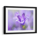 Anillo Las Campanas Del Cambio Ii - Gillian Hunt | Cuadro decorativo de Canvas Lab