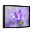 Anillo Las Campanas Del Cambio Ii - Gillian Hunt | Cuadro decorativo de Canvas Lab