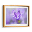 Anillo Las Campanas Del Cambio Ii - Gillian Hunt | Cuadro decorativo de Canvas Lab