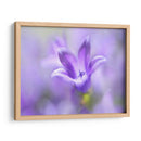 Anillo Las Campanas Del Cambio Ii - Gillian Hunt | Cuadro decorativo de Canvas Lab