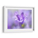 Anillo Las Campanas Del Cambio Ii - Gillian Hunt | Cuadro decorativo de Canvas Lab