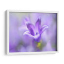 Anillo Las Campanas Del Cambio Ii - Gillian Hunt | Cuadro decorativo de Canvas Lab