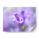 Anillo Las Campanas Del Cambio Ii - Gillian Hunt | Cuadro decorativo de Canvas Lab