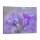 Anular Las Campanas De Cambio Iii - Gillian Hunt | Cuadro decorativo de Canvas Lab