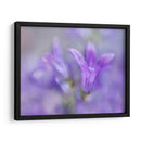 Anular Las Campanas De Cambio Iii - Gillian Hunt | Cuadro decorativo de Canvas Lab