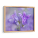 Anular Las Campanas De Cambio Iii - Gillian Hunt | Cuadro decorativo de Canvas Lab