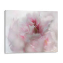 Espero En Rosa I - Gillian Hunt | Cuadro decorativo de Canvas Lab