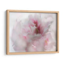 Espero En Rosa I - Gillian Hunt | Cuadro decorativo de Canvas Lab