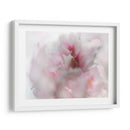 Espero En Rosa I - Gillian Hunt | Cuadro decorativo de Canvas Lab