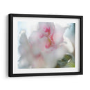 Esperanza En Pink Ii - Gillian Hunt | Cuadro decorativo de Canvas Lab