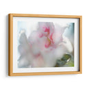 Esperanza En Pink Ii - Gillian Hunt | Cuadro decorativo de Canvas Lab