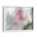 Esperanza En Pink Ii - Gillian Hunt | Cuadro decorativo de Canvas Lab